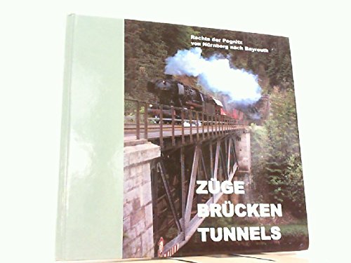 Züge, Brücken, Tunnels. Eisenbahnlinien rechts der Pegnitz von Nürnberg nach Bayreuth Books