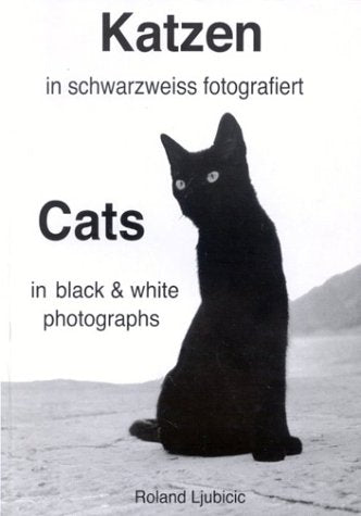 Katzen in schwarzweiss fotografiert. Cats in black and white photographs. Photography