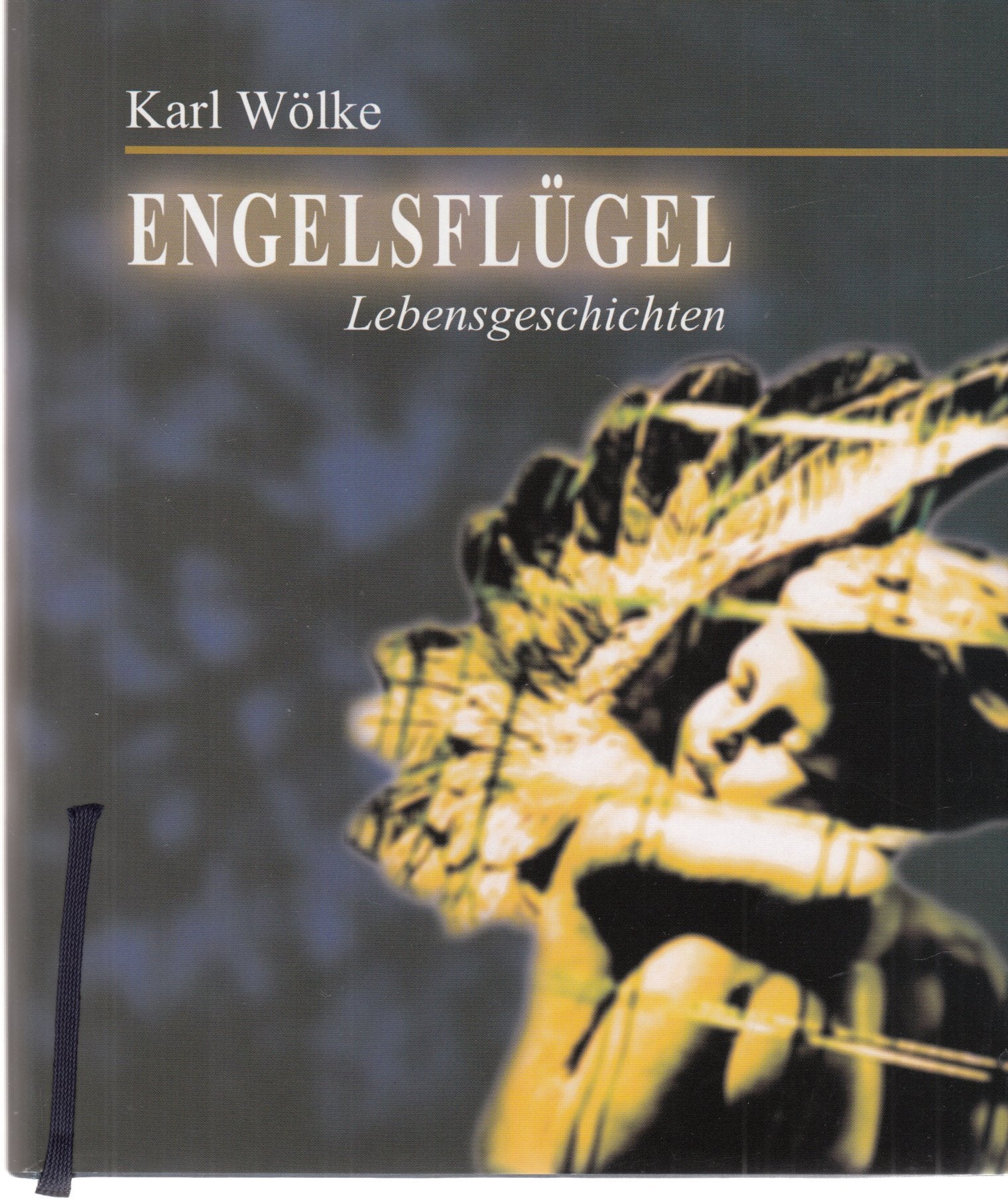 Engelsflügel. Lebensgeschichten Books