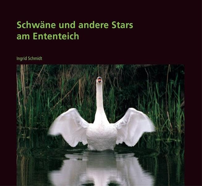 Schwäne und andere Stars am Ententeich: Lustiges und Wissenswertes über unsere Nachbarn im Park Pets