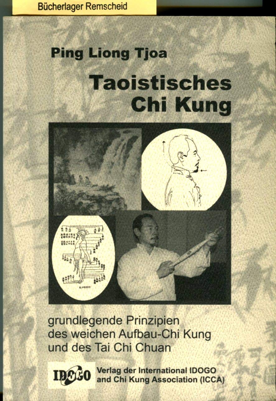Taoistisches Qigong: Grundlagen des Taijiquan und des Qigong Medicine