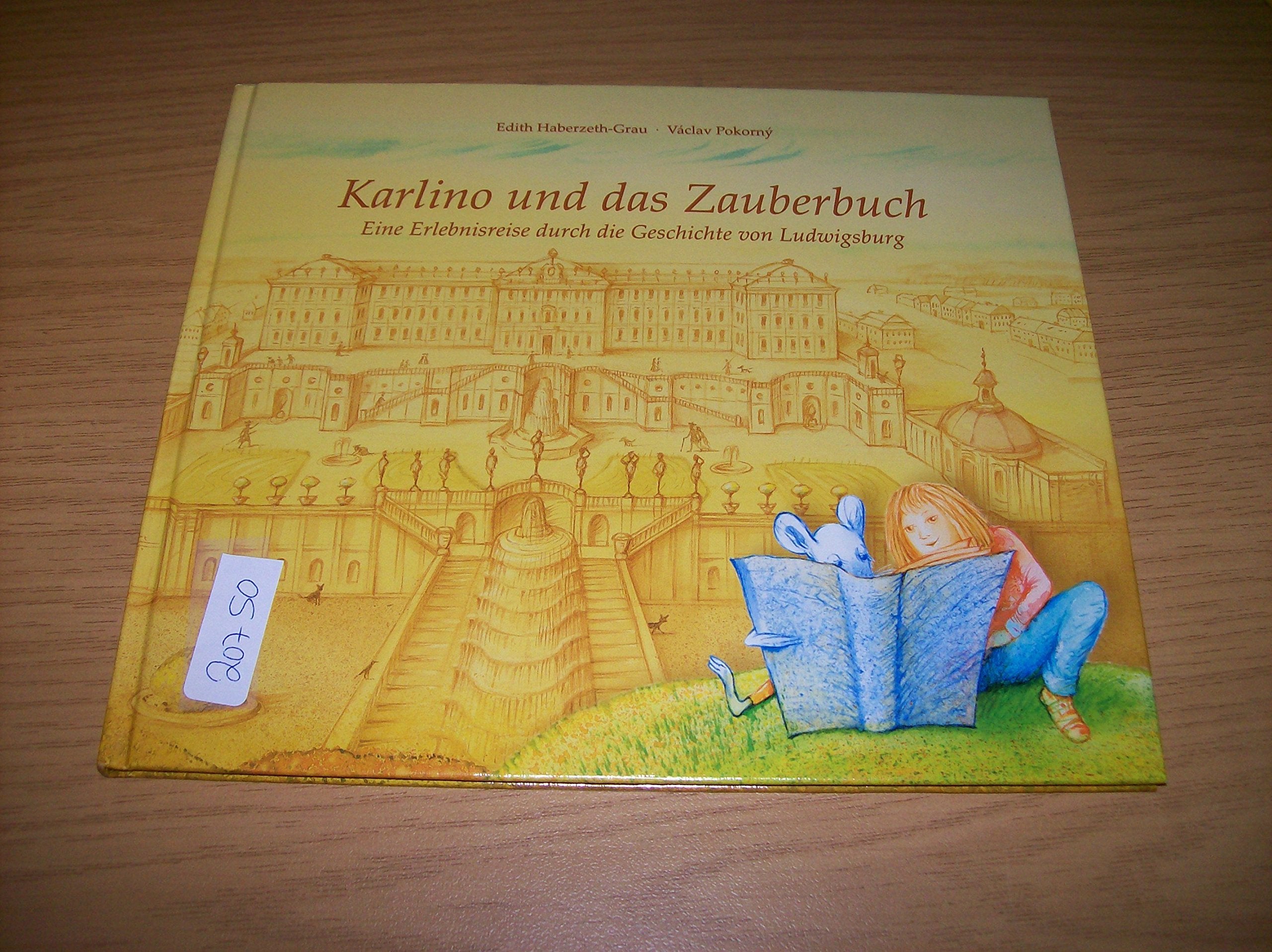 Karlino und das Zauberbuch: Eine Erlebnisreise durch die Geschichte von Ludwigsburg Books
