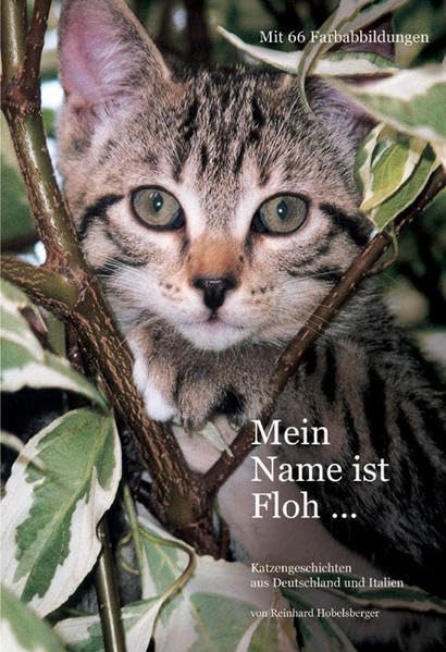 Mein Name ist Floh...: Katzengeschichten (Livre en allemand) book