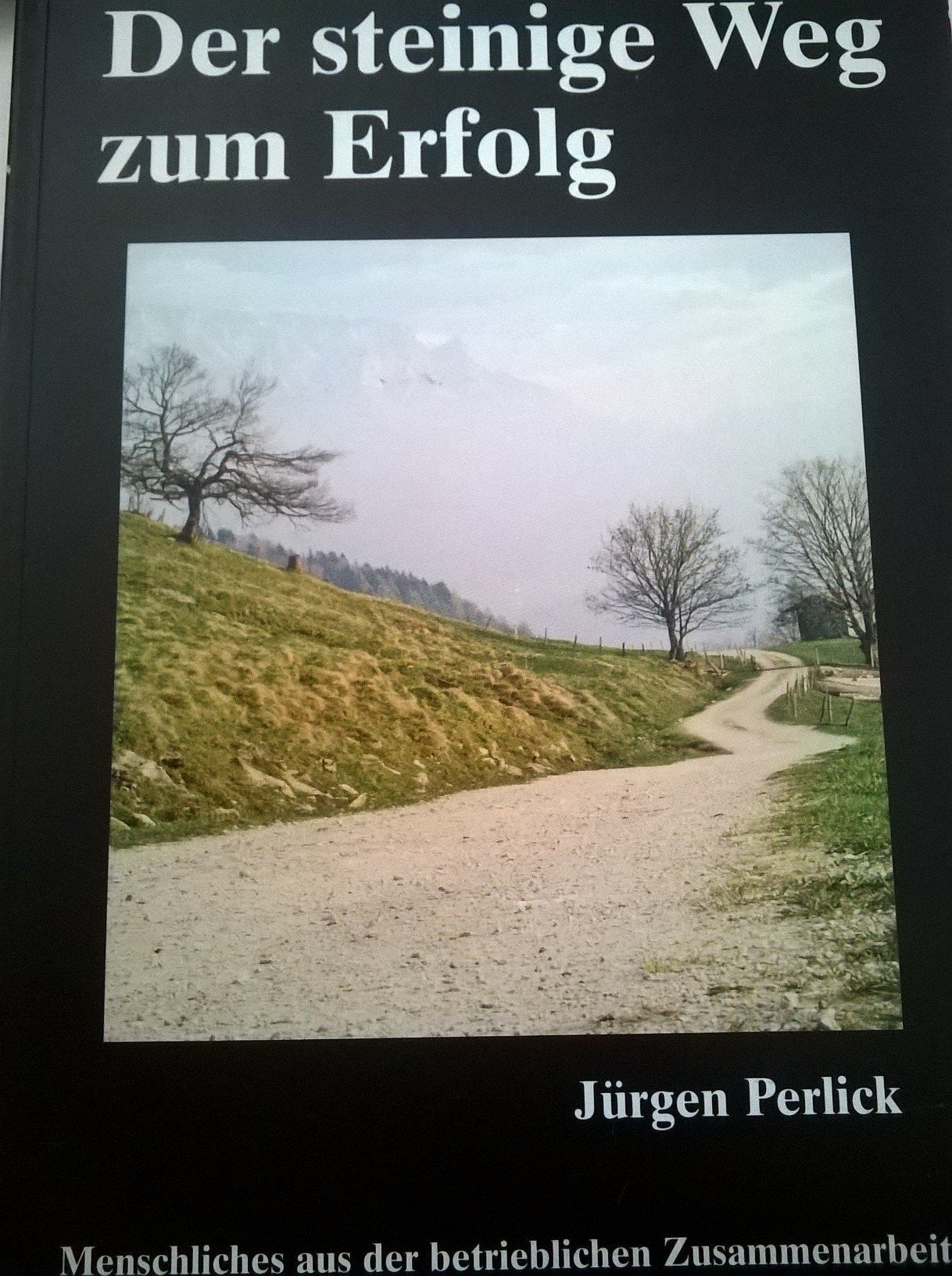 Der steinige Weg zum Erfolg Books