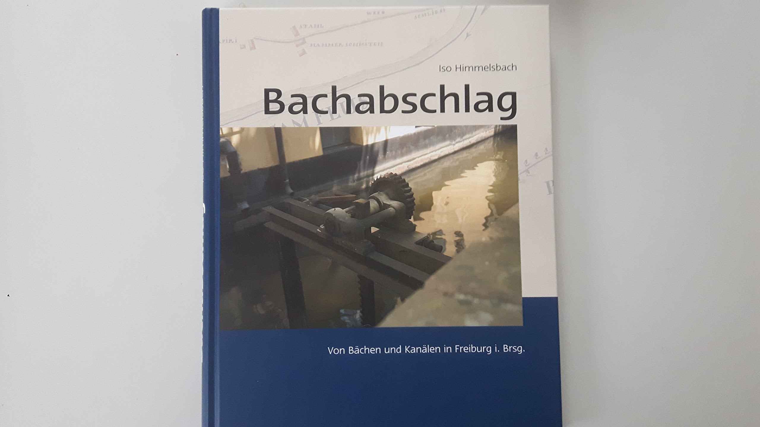 Bachabschlag: Von Bächen und Kanälen in Freiburg i. Br. Politics & History