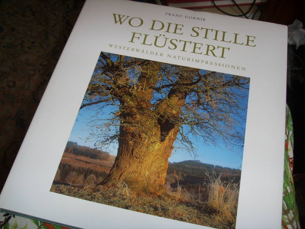 Wo die Stille flüstert: Westerwälder Naturimpressionen Photography