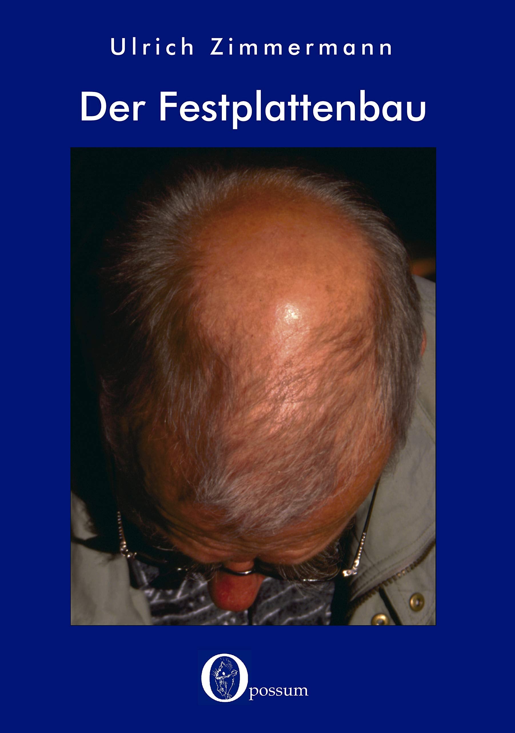 Der Festplattenbau Contemporary literature Books