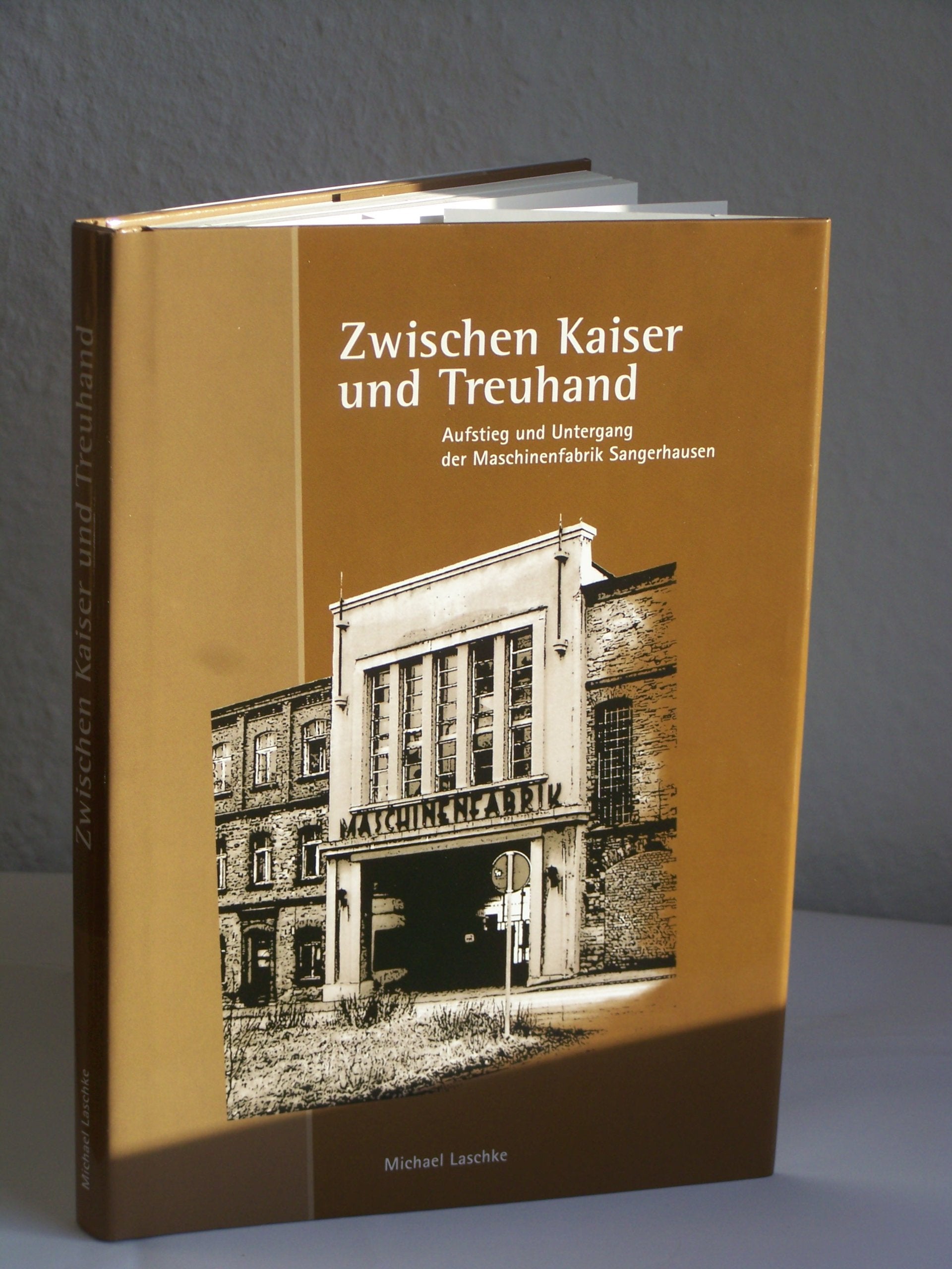 Zwischen Kaiser und Treuhand - Aufstieg und Untergang der Maschinenfabrik Sangerhausen Books
