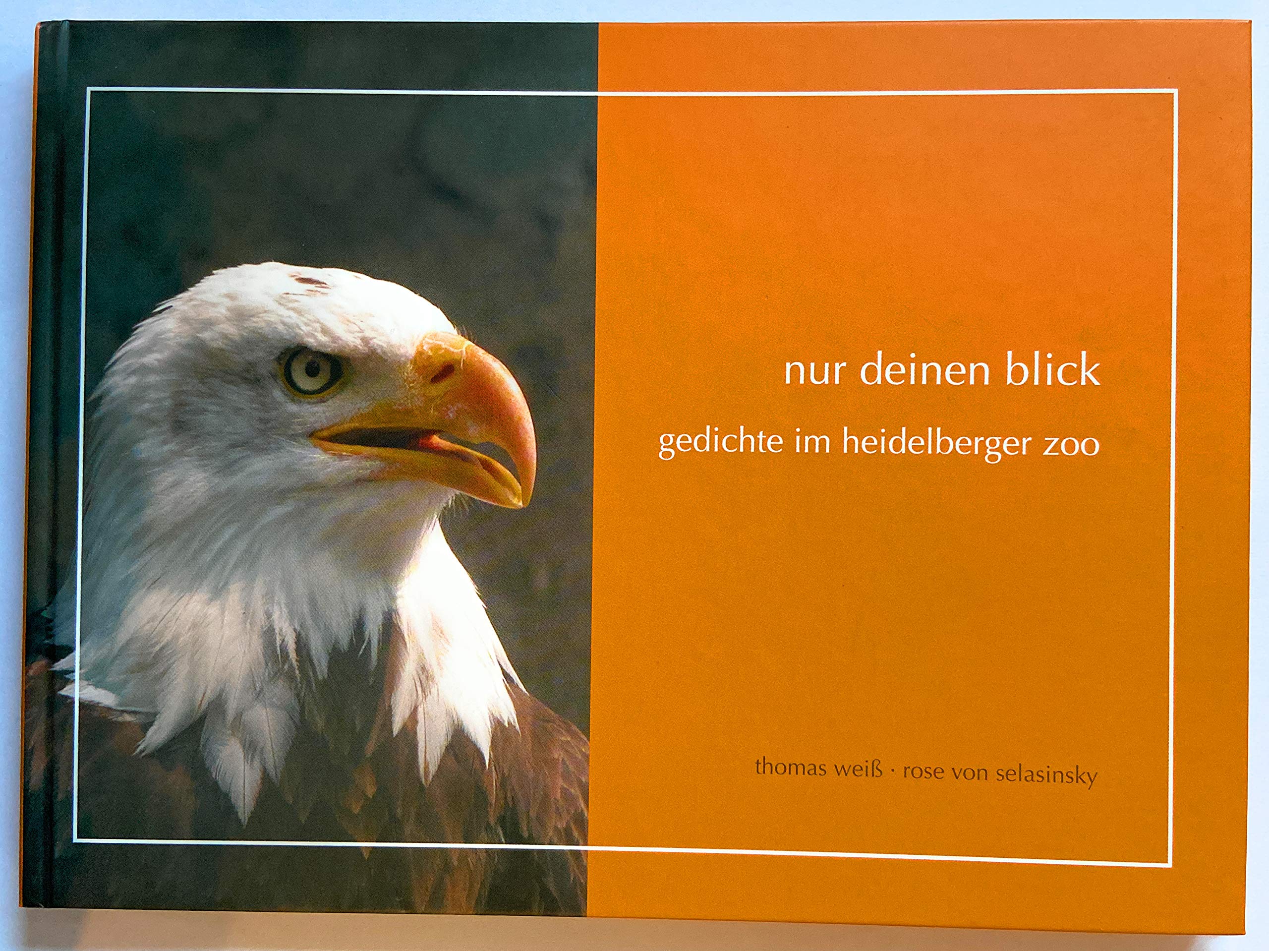 Product Image: nur deinen blick
