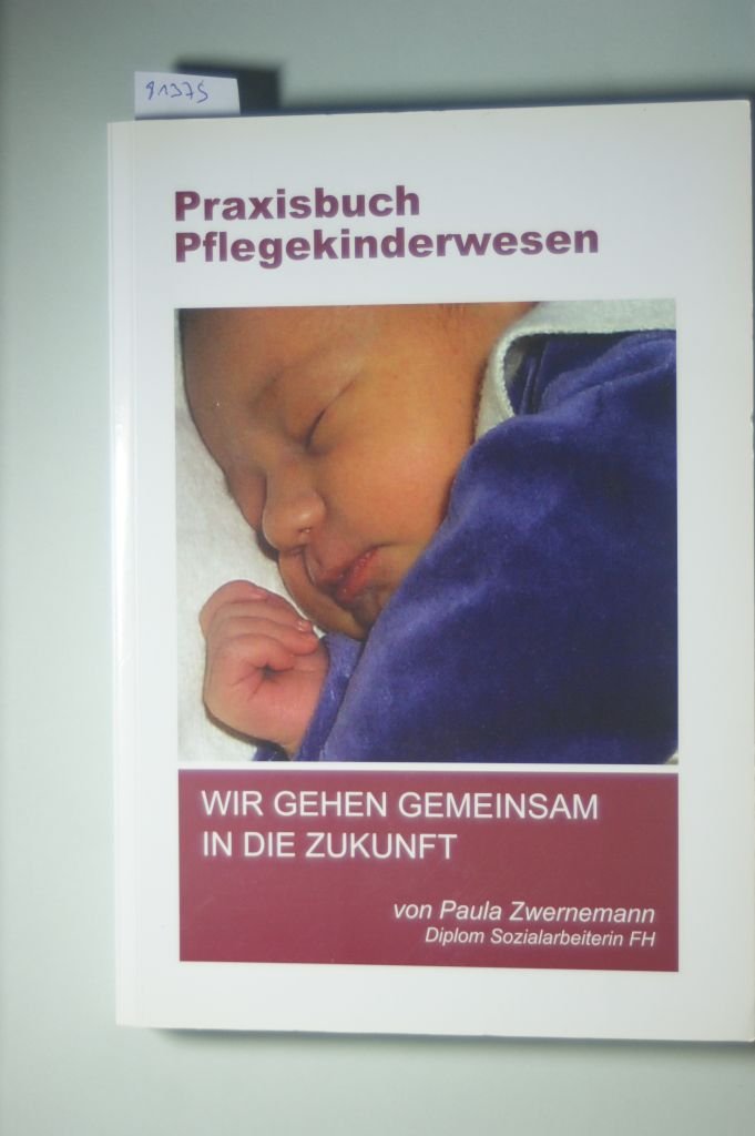 Praxisbuch Pflegekinderwesen: Wir gehen gemeinsam in die Zukunft Social Sciences