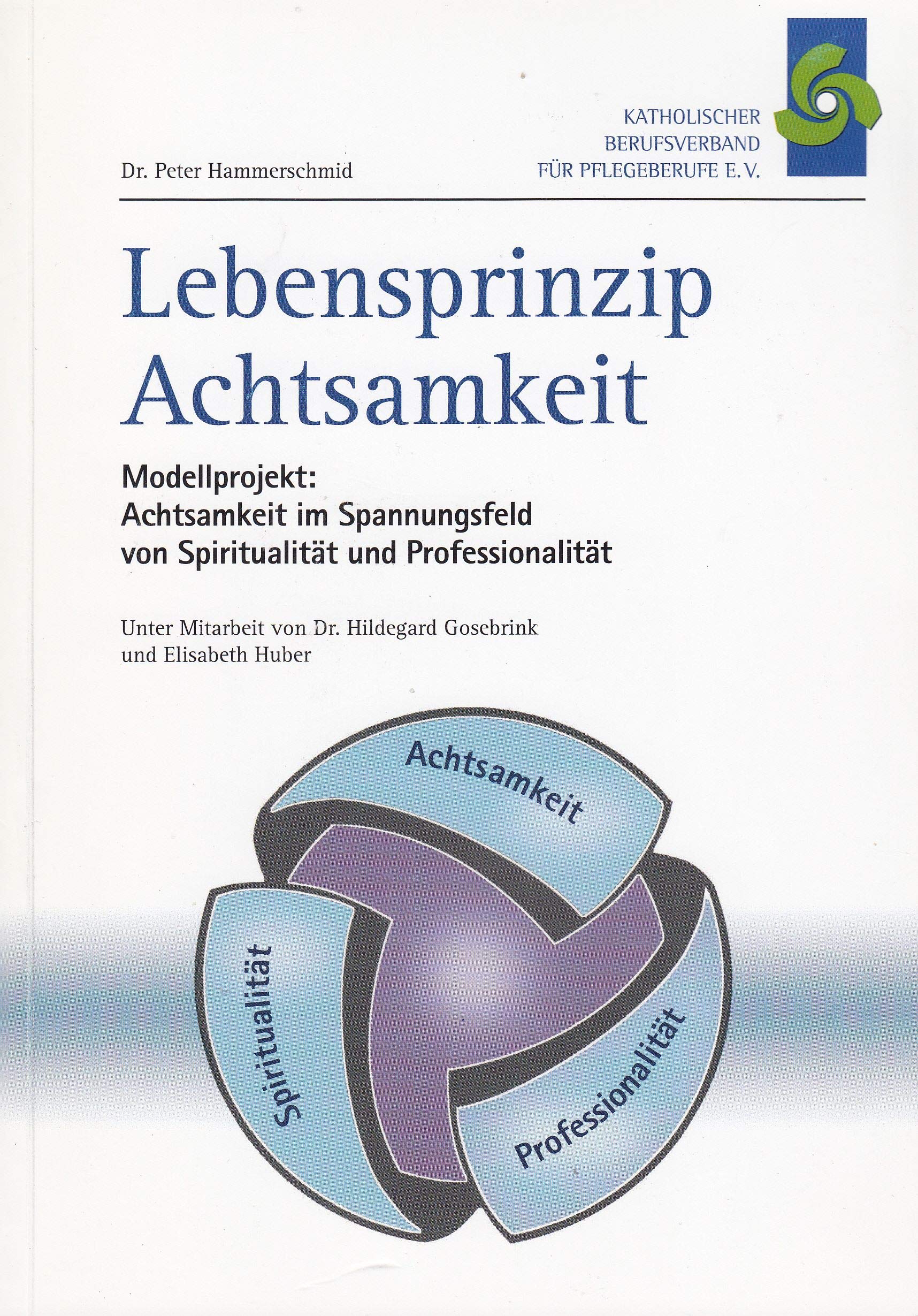 Lebensprinzip Achtsamkeit: Achtsamkeit im Spannungsfeld von Spiritualität und Professionalität - Hammerschmid, Peter book