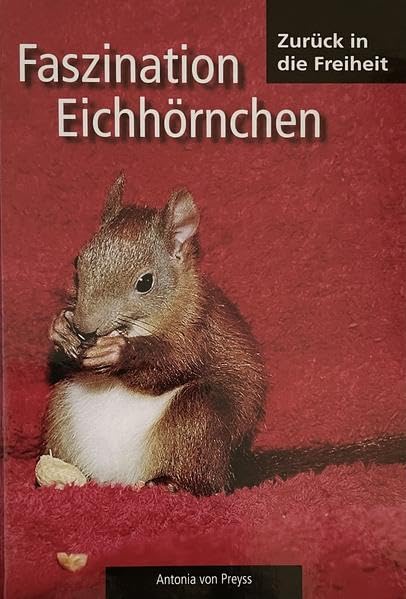 Faszination Eichhörnchen: Zurück in die Freiheit Film, Art & Culture