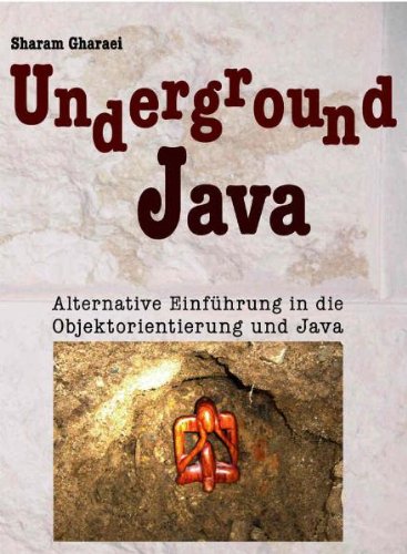 Underground Java: Alternative Einführung in die Objektorientierung und Java Computer Science