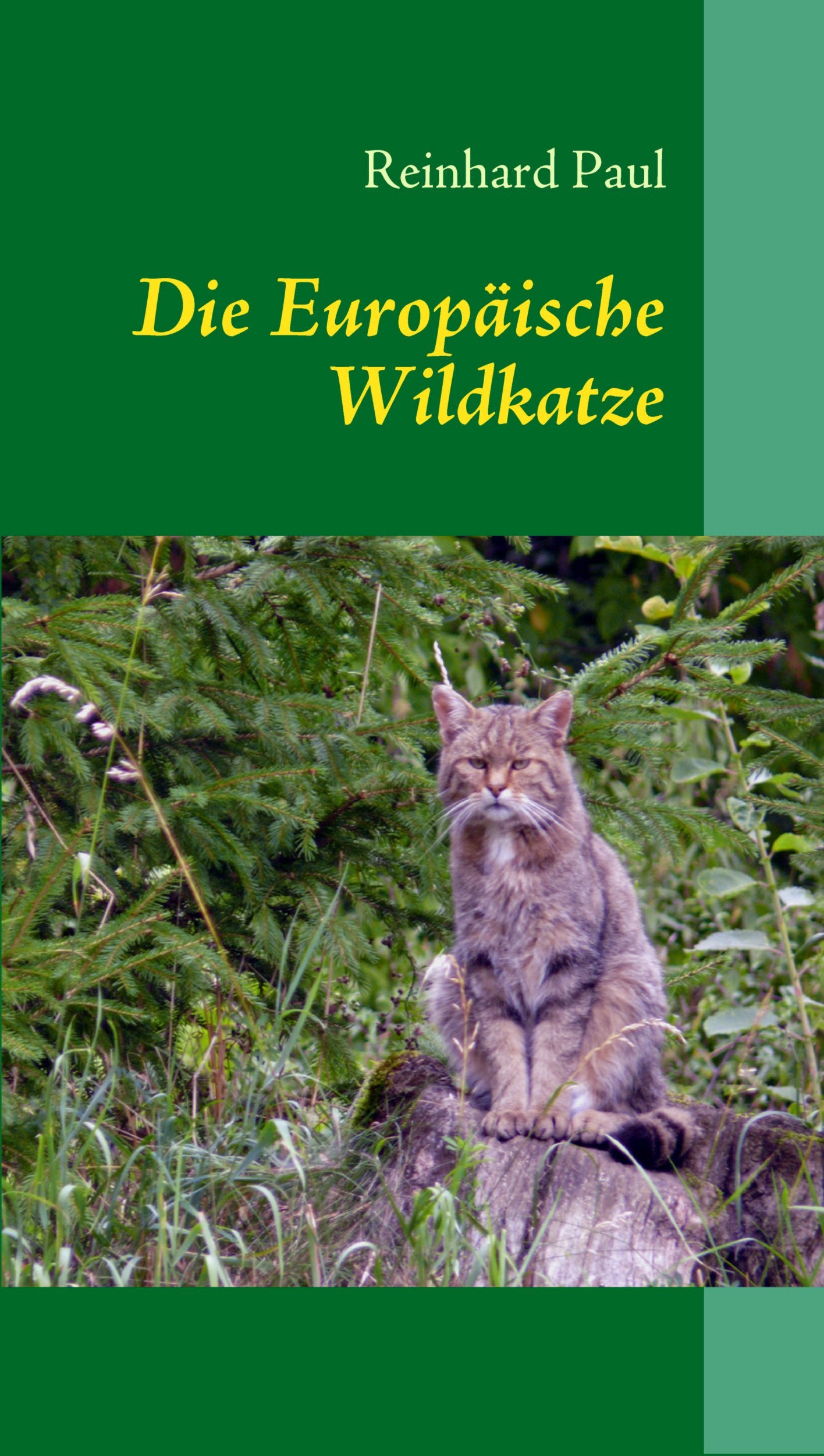 Die Europäische Wildkatze: Felis silvestris silvestris book