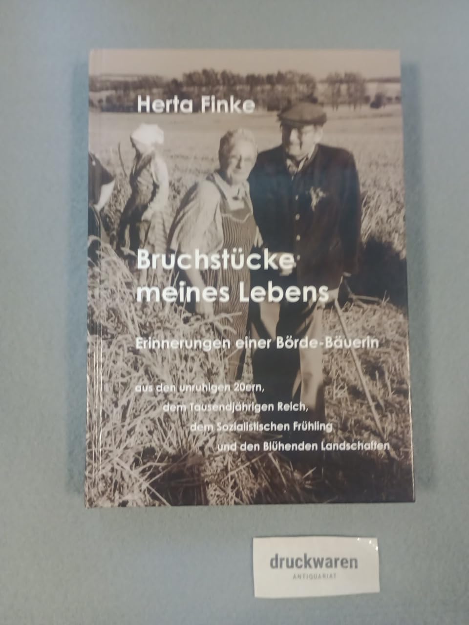 Bruchstücke meines Lebens - Erinnerungen einer Börde Bäuerin - aus den unruhigen 20ern, dem Tausendjährigen Reich, dem Sozialistischen Frühling und den blühenden Landschaften Books