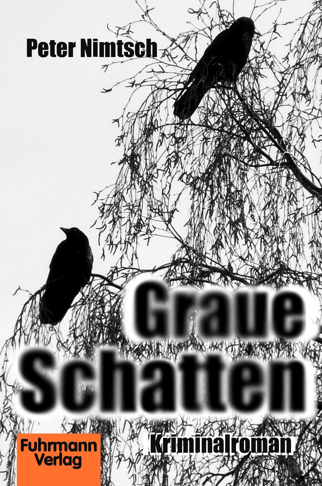 Graue Schatten Contemporary literature