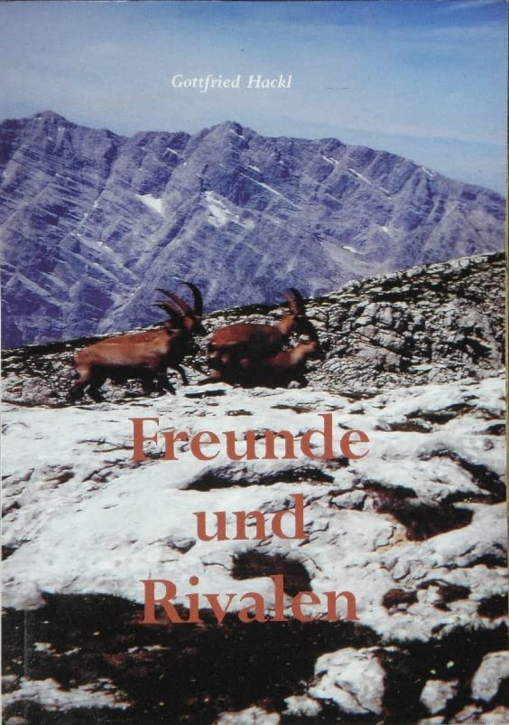 Freunde und Rivalen Fiction