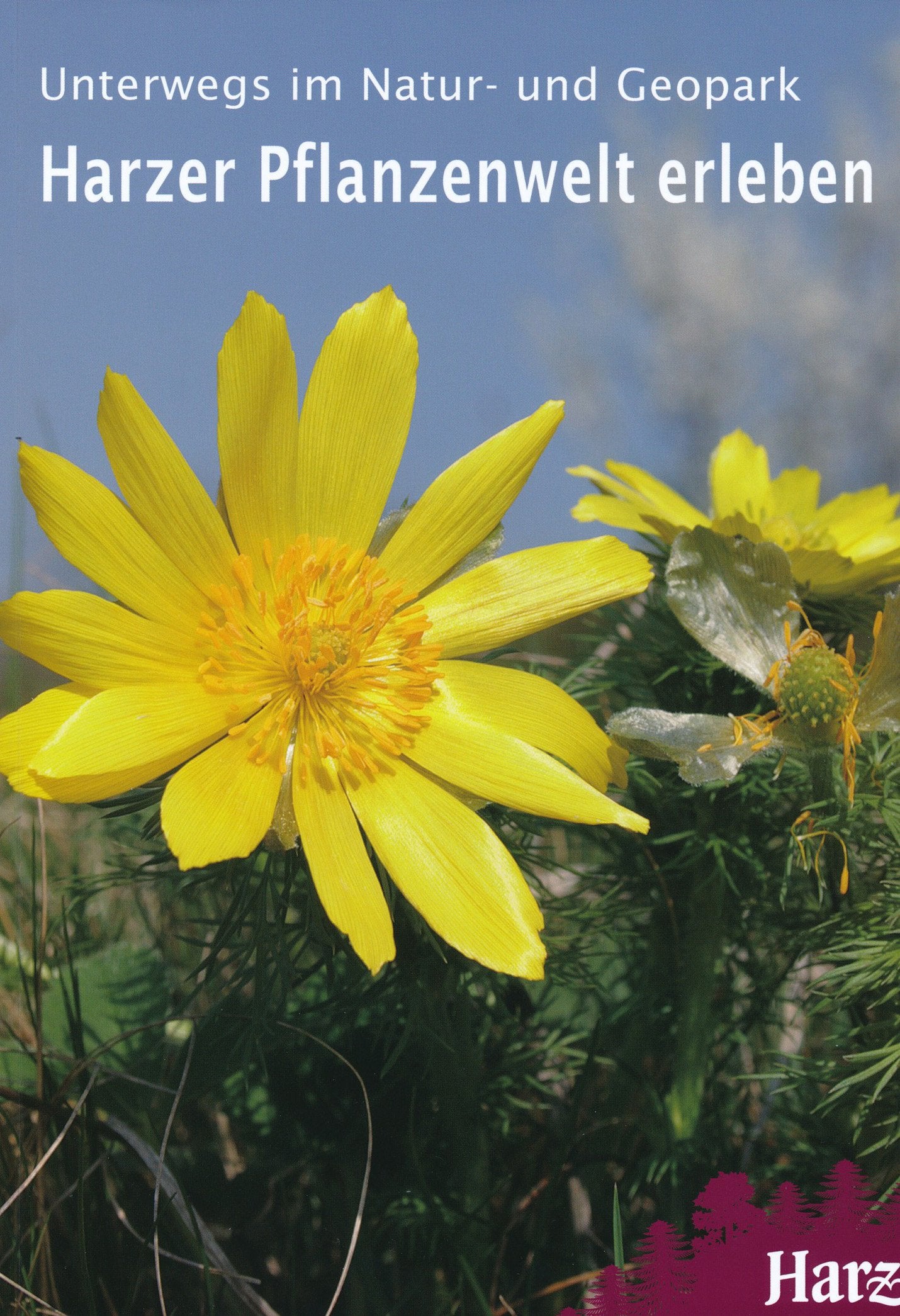 Harzer Pflanzenwelt erleben: Unterwegs im Natur- und Geopark Natural Sciences