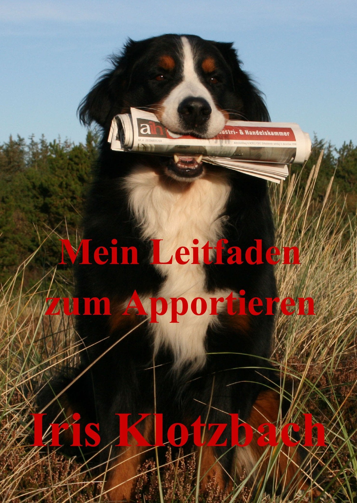 Mein Leitfaden zum Apportieren Pets