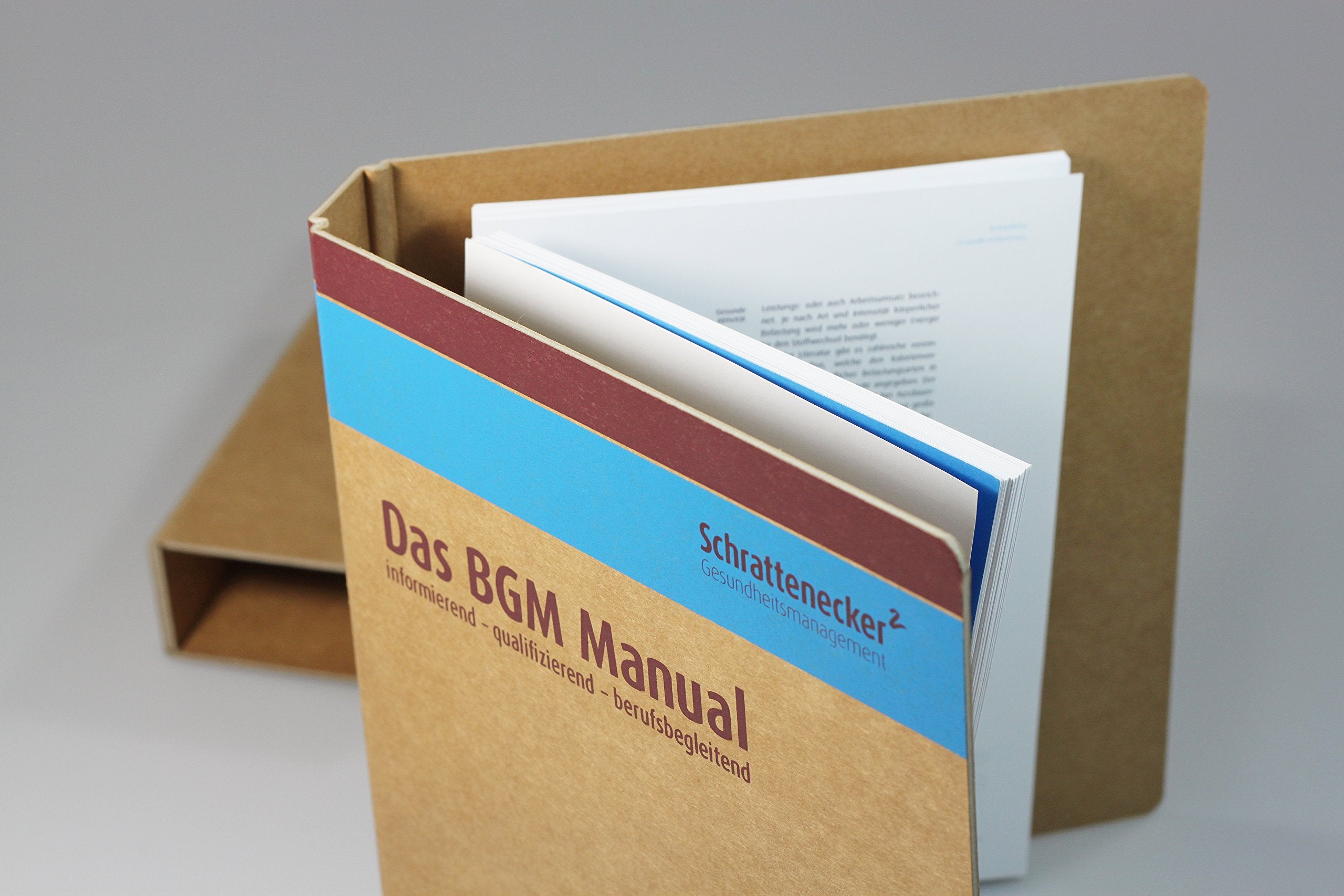 Das BGM-Manual: Praxishandbuch für Betriebliches Gesundheitsmanagement Law
