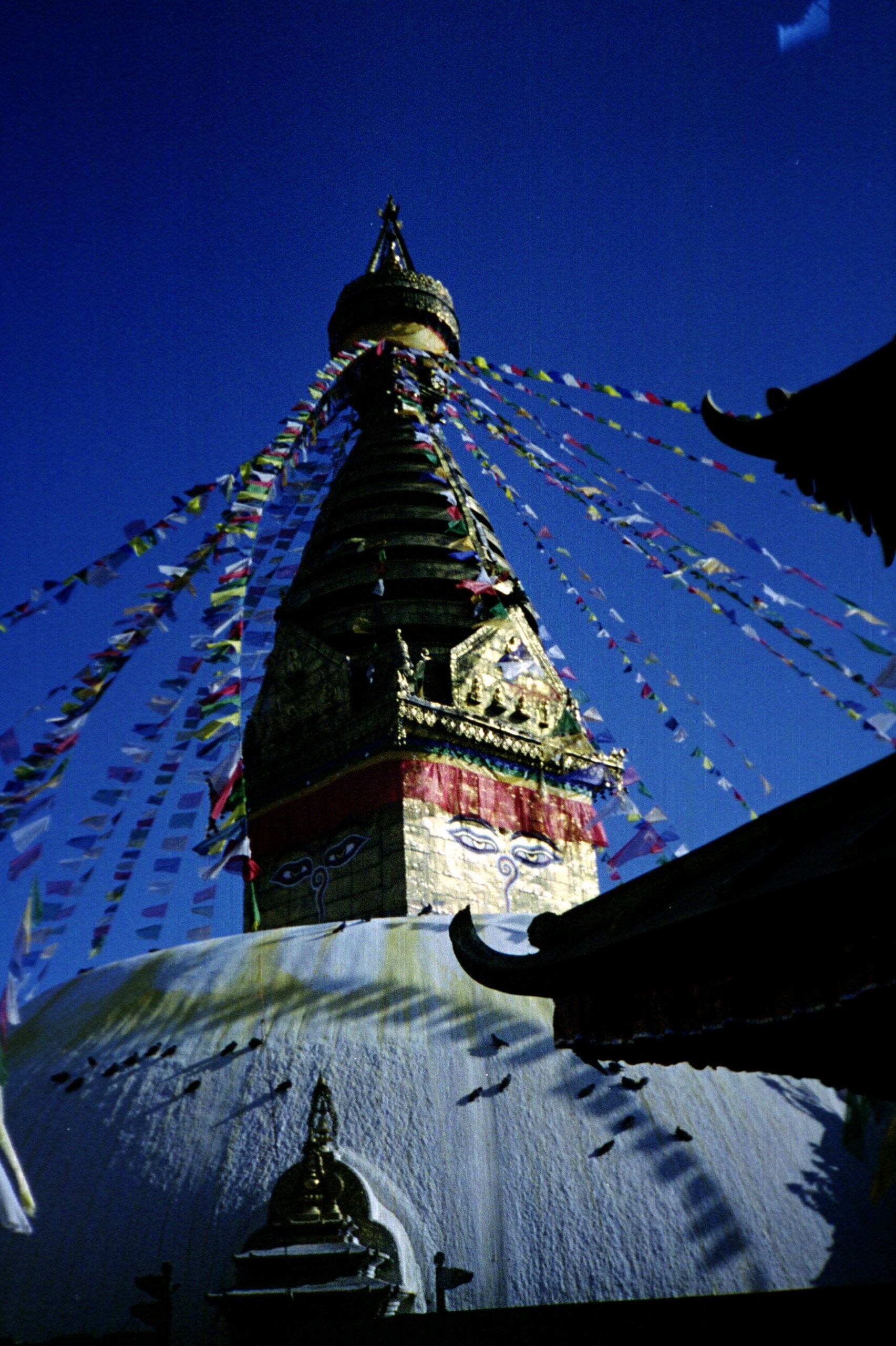 Nepal Land der Träume?: Mein längster Liebesbrief Travelogues