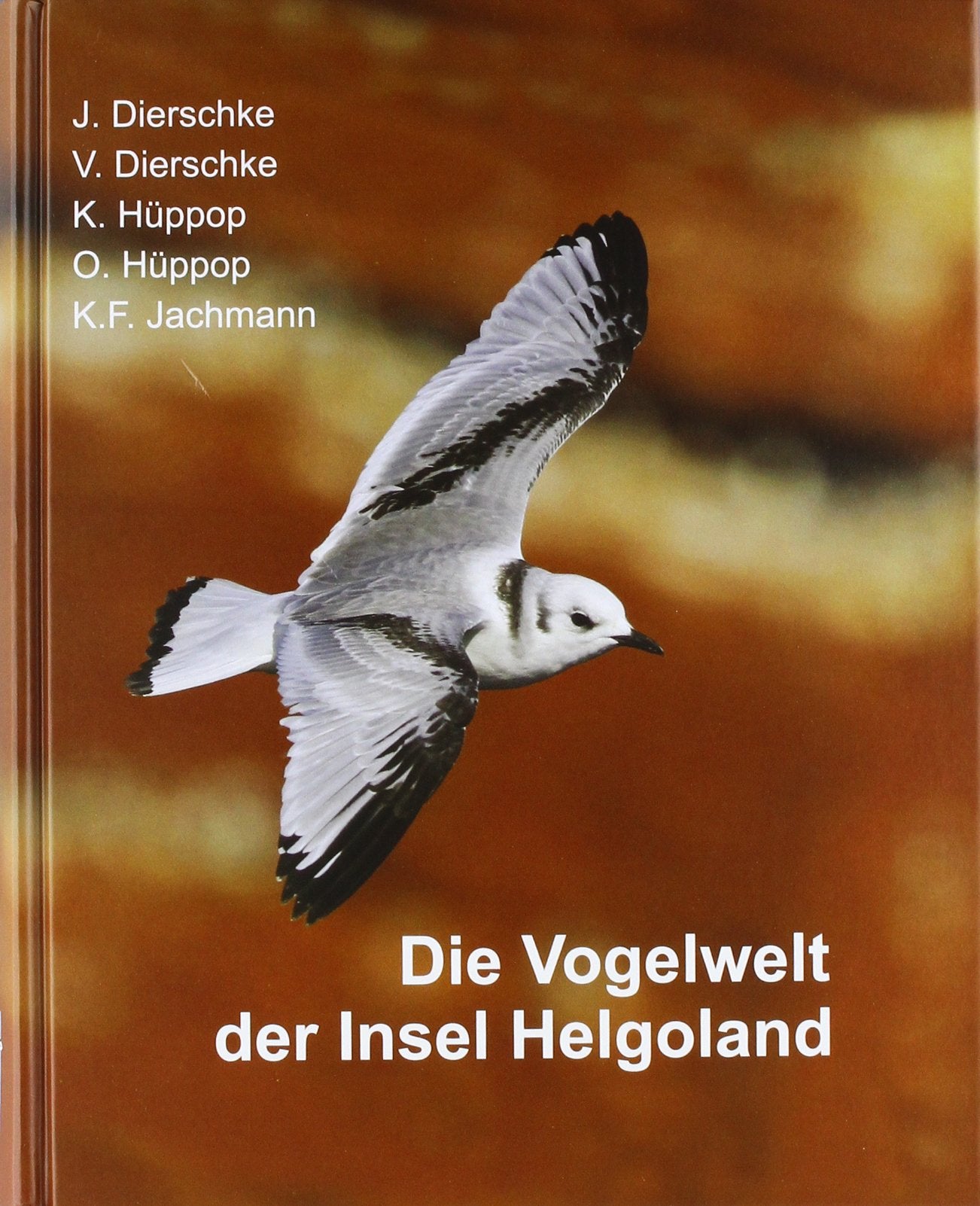 Die Vogelwelt der Insel Helgoland Business & Technology
