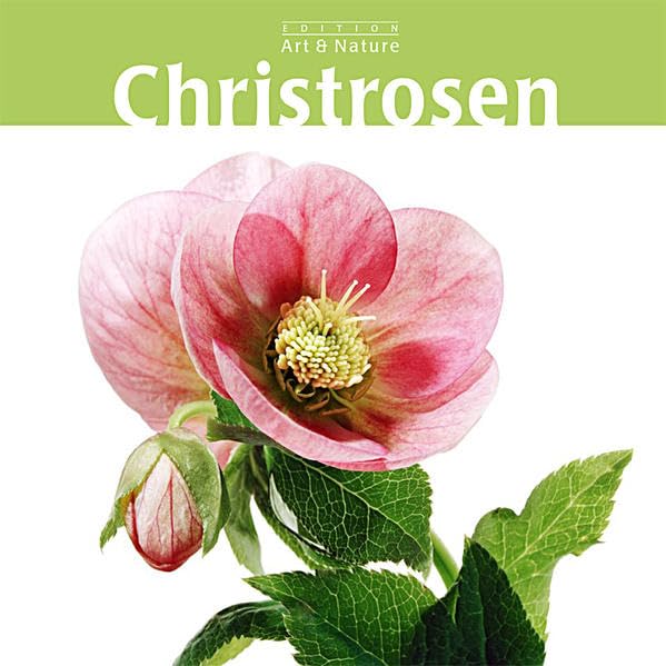 Christrosen Film, Art & Culture