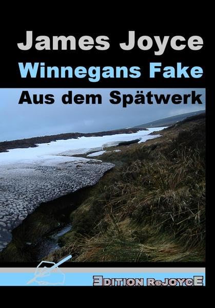 Winnegans Fake: Aus dem Spätwerk: 50 book