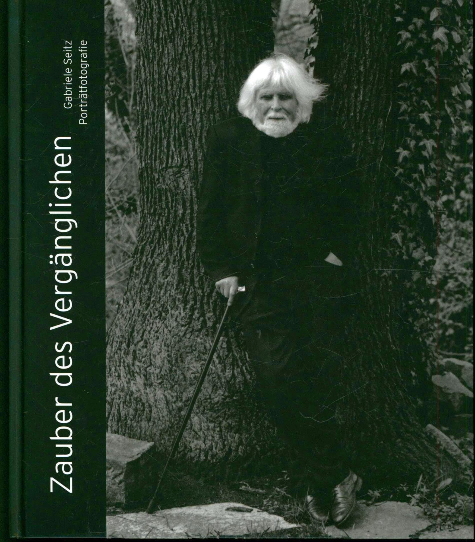 Zauber des Vergänglichen: Porträtfotografie book