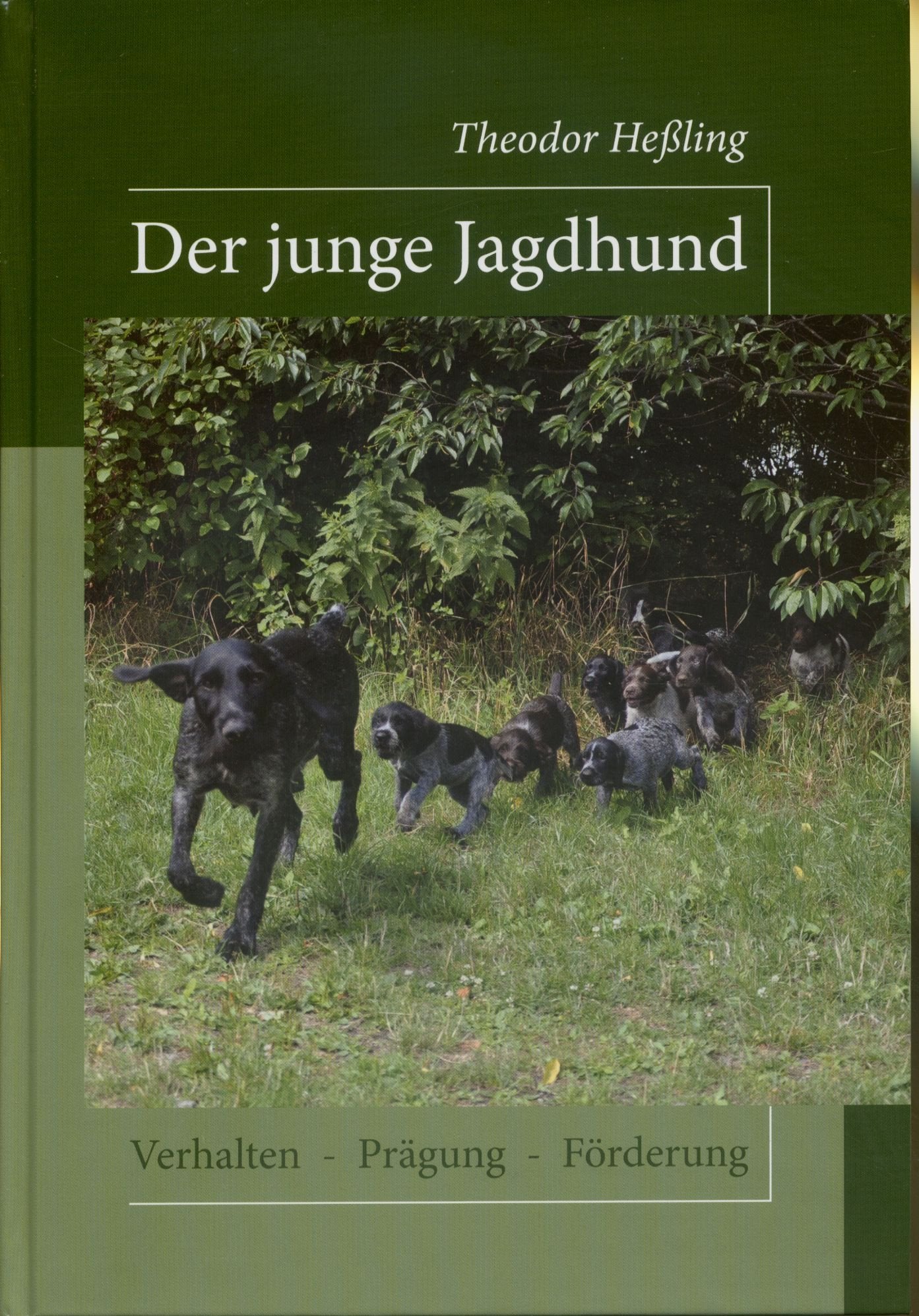 Der junge Jagdhund: Verhalten, Prägung, Förderung Pets