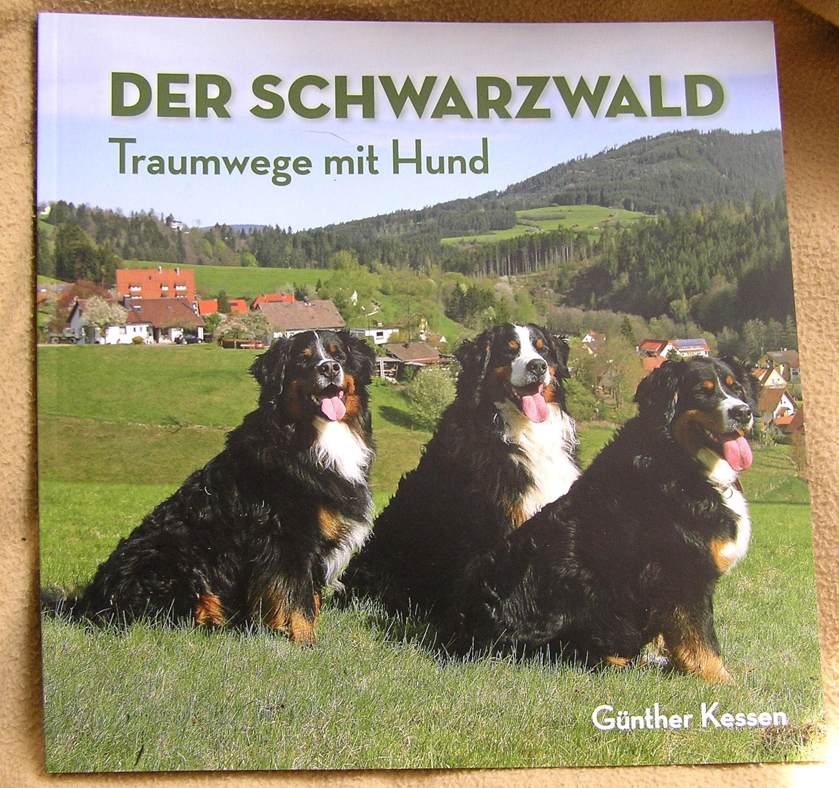 Der Schwarzwald. Traumwege mit Hund Books