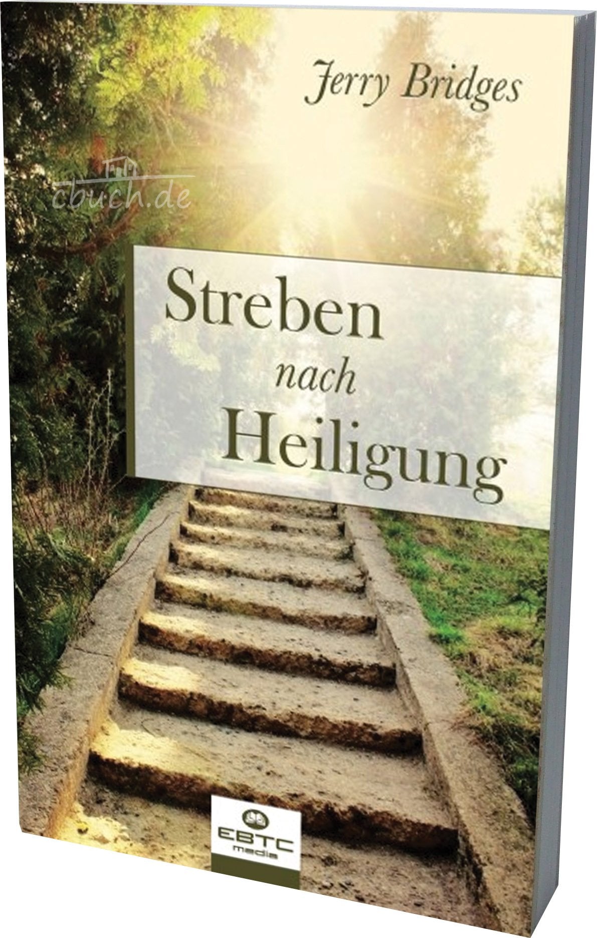 Streben nach Heiligung - Bridges, Jerry book