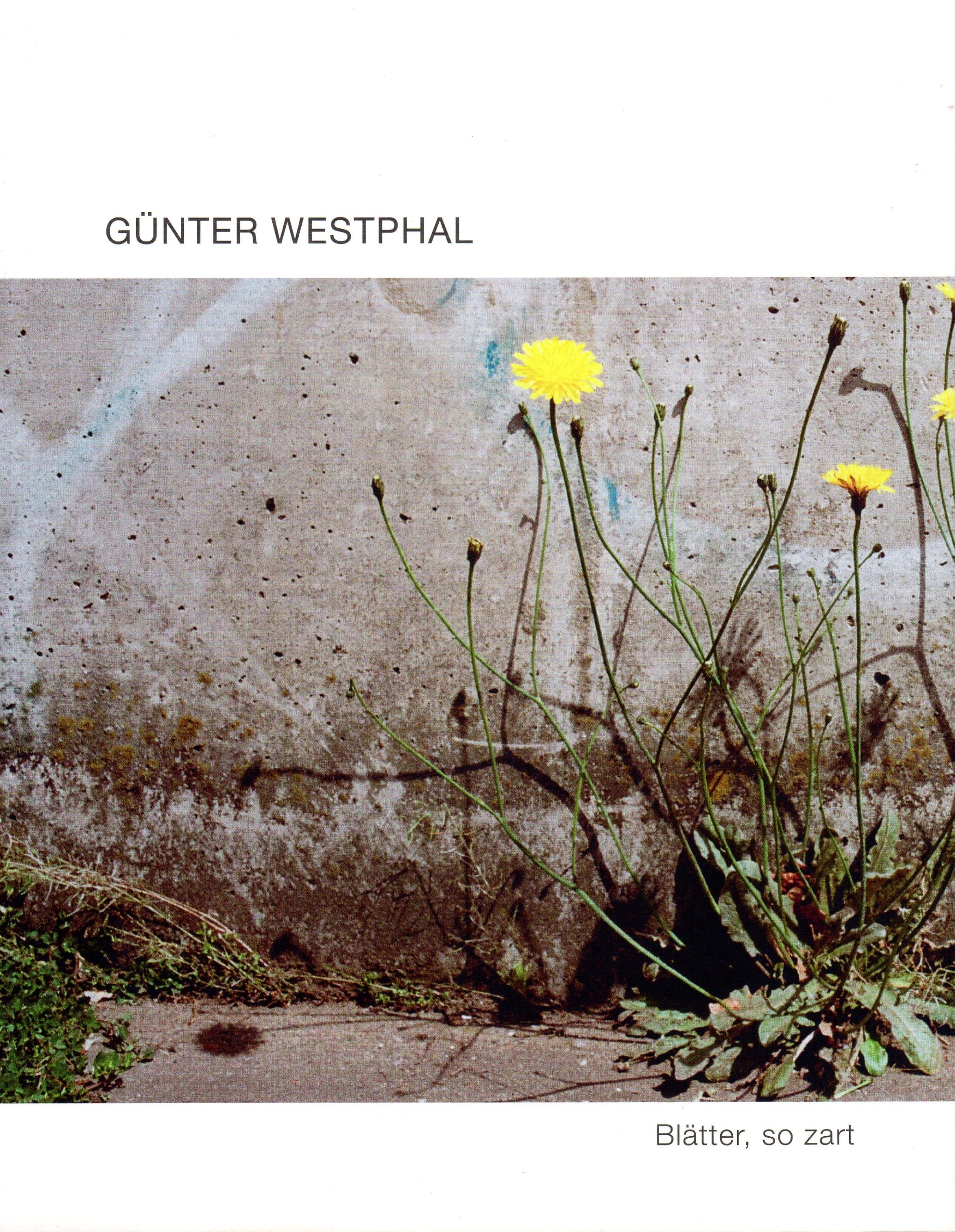 "Blätter, so zart": Münzviertel 2003 bis 2012. Fotoarbeiten Photography