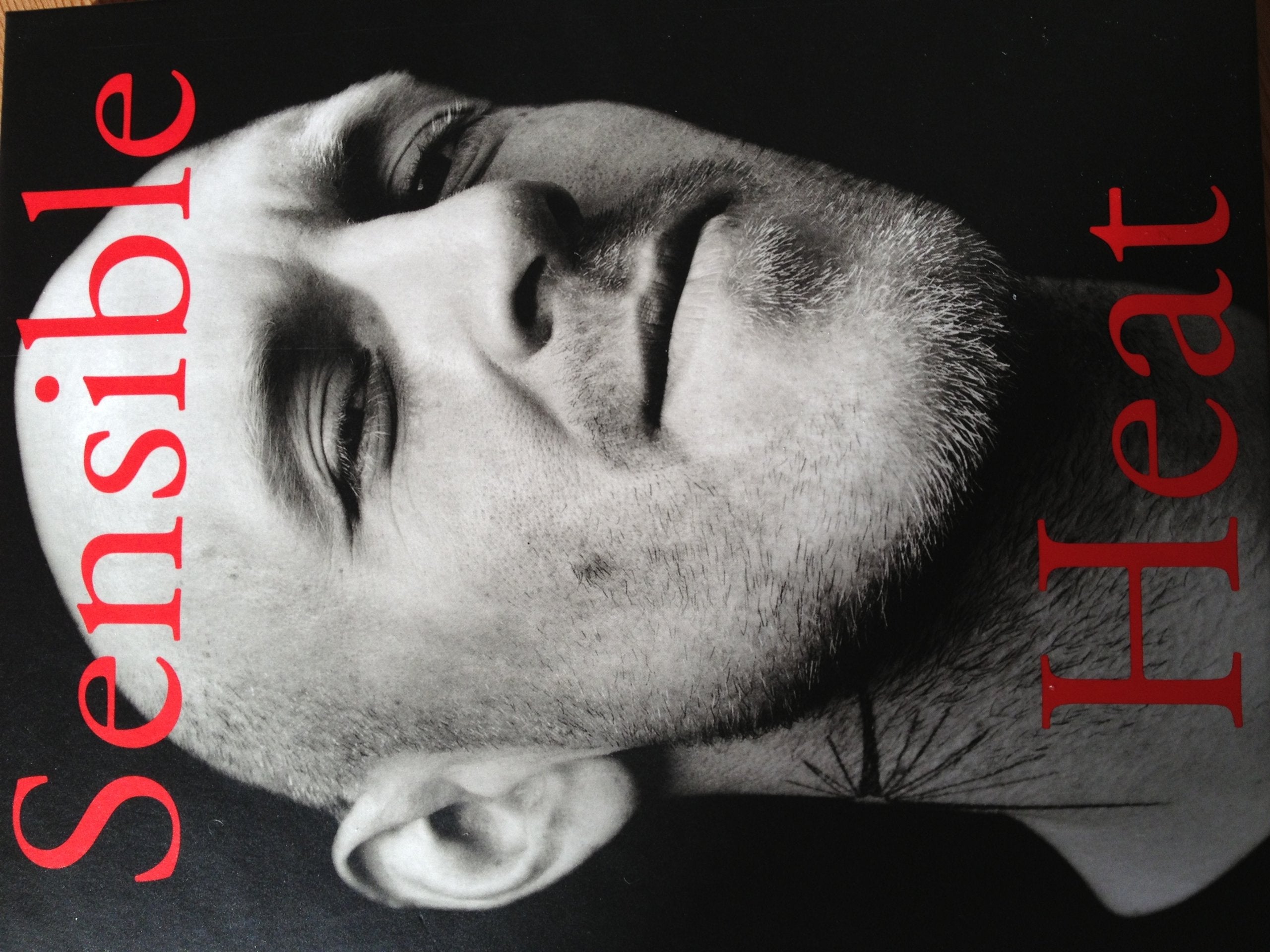 Sensible Heat von Juergen Schmidt Book book