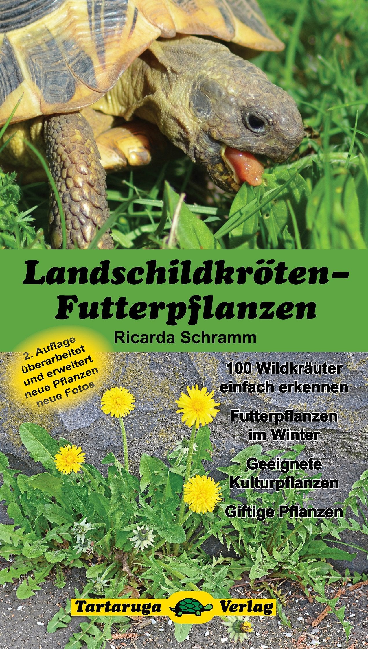 Landschildkröten-Futterpflanzen Pets