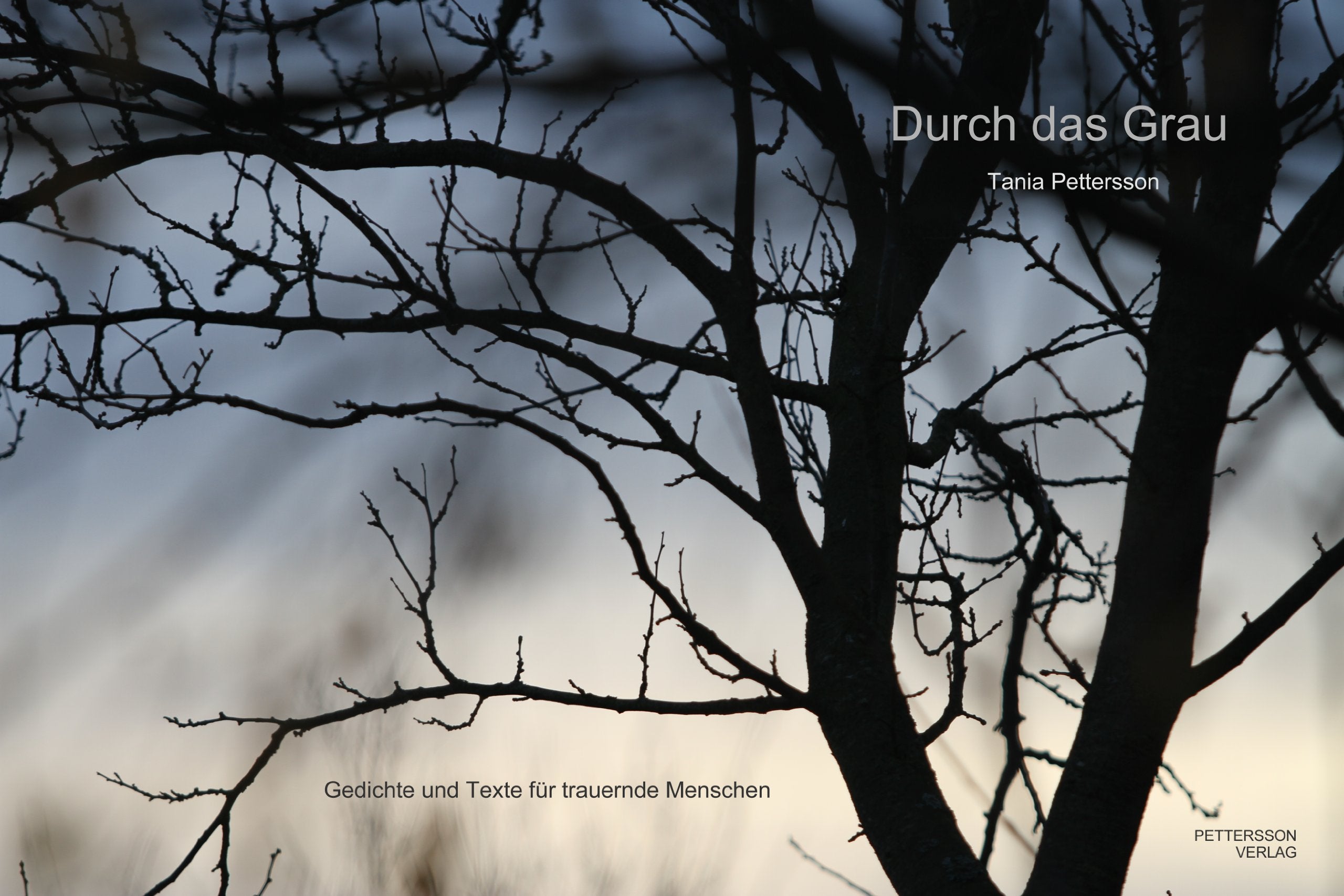 Durch das Grau ...ins Leben: Gedichte und Texte jenseits der Sprachlosigkeit Contemporary literature