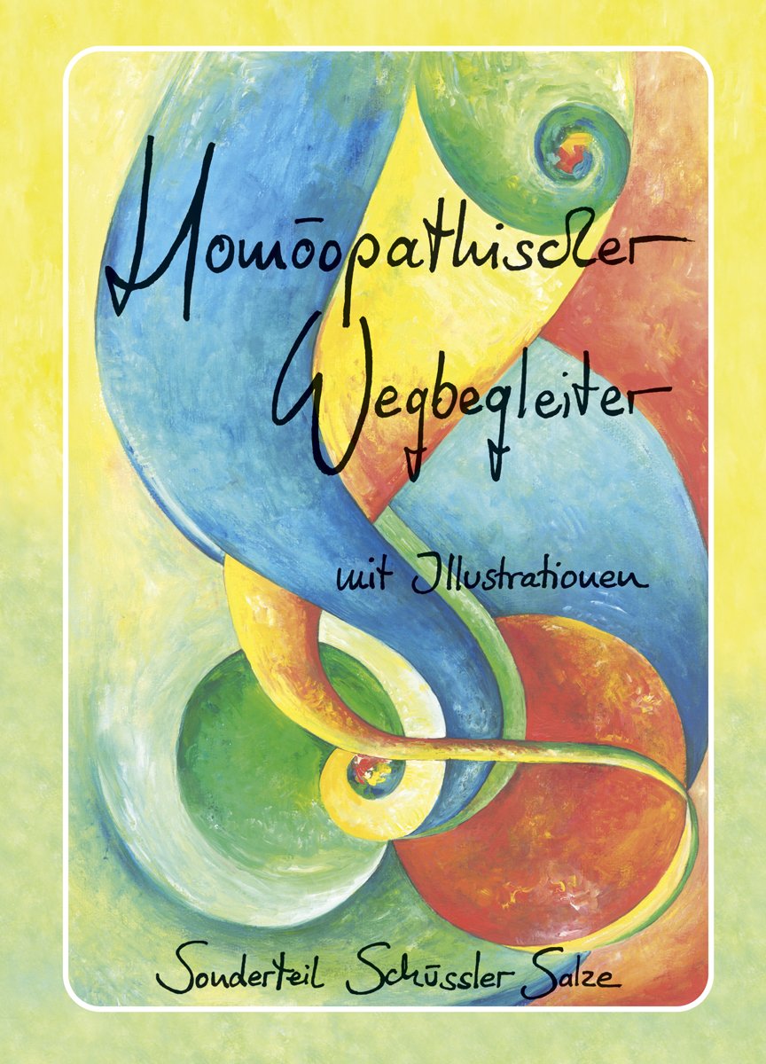 Homöopathischer Wegbegleiter mit Illustrationen: Sonderteil Schüssler Salze book