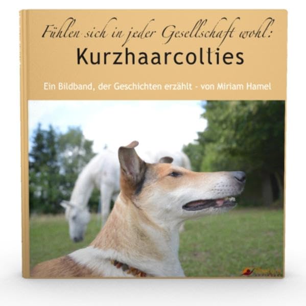 Fühlen sich in jeder Gesellschaft wohl: Kurzhaarcollies: Ein Bildband, der Geschichten erzählt Film, Art & Culture