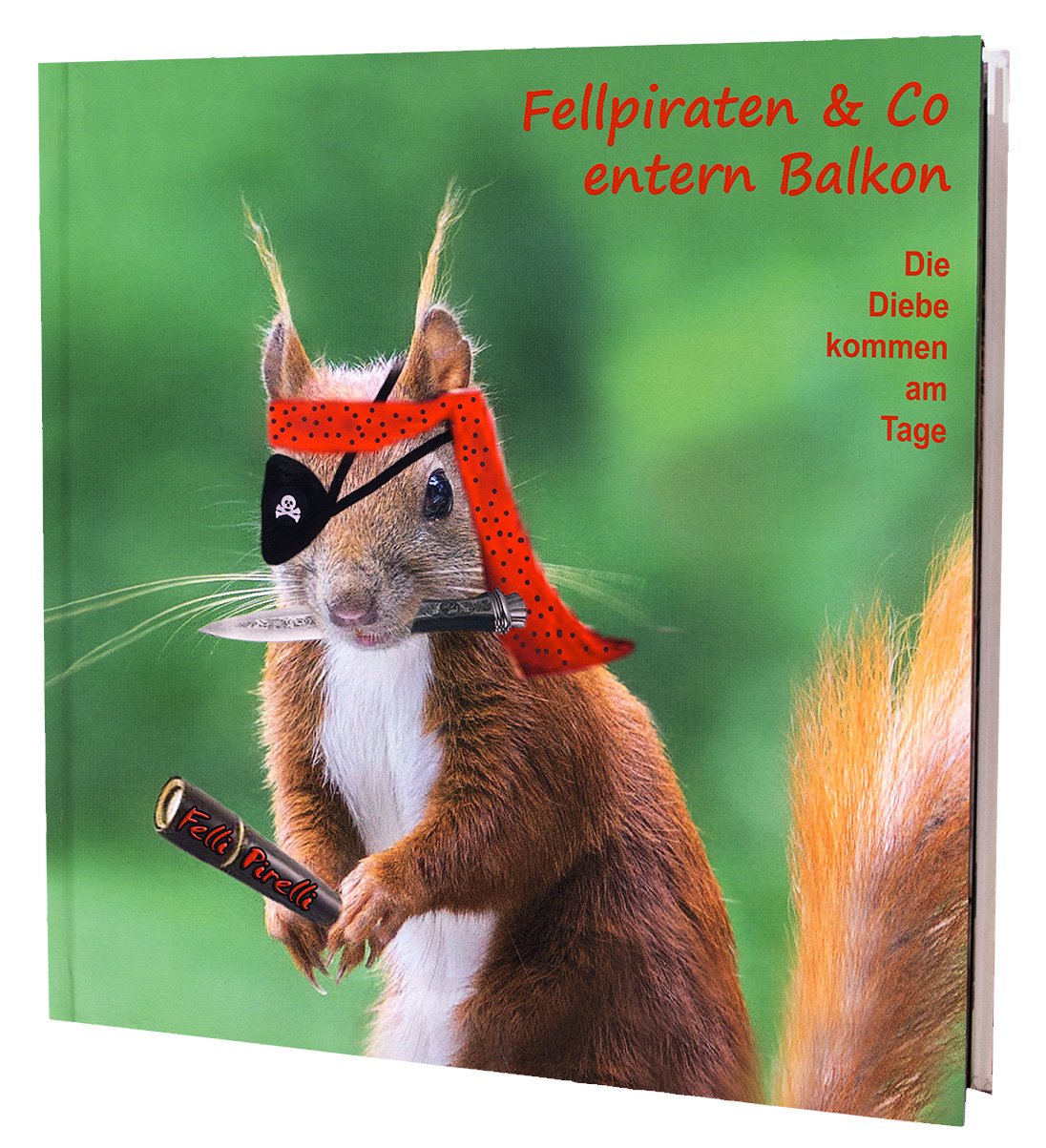 Fellpiraten & Co. entern Balkon: Die Diebe kommen am Tage Contemporary literature