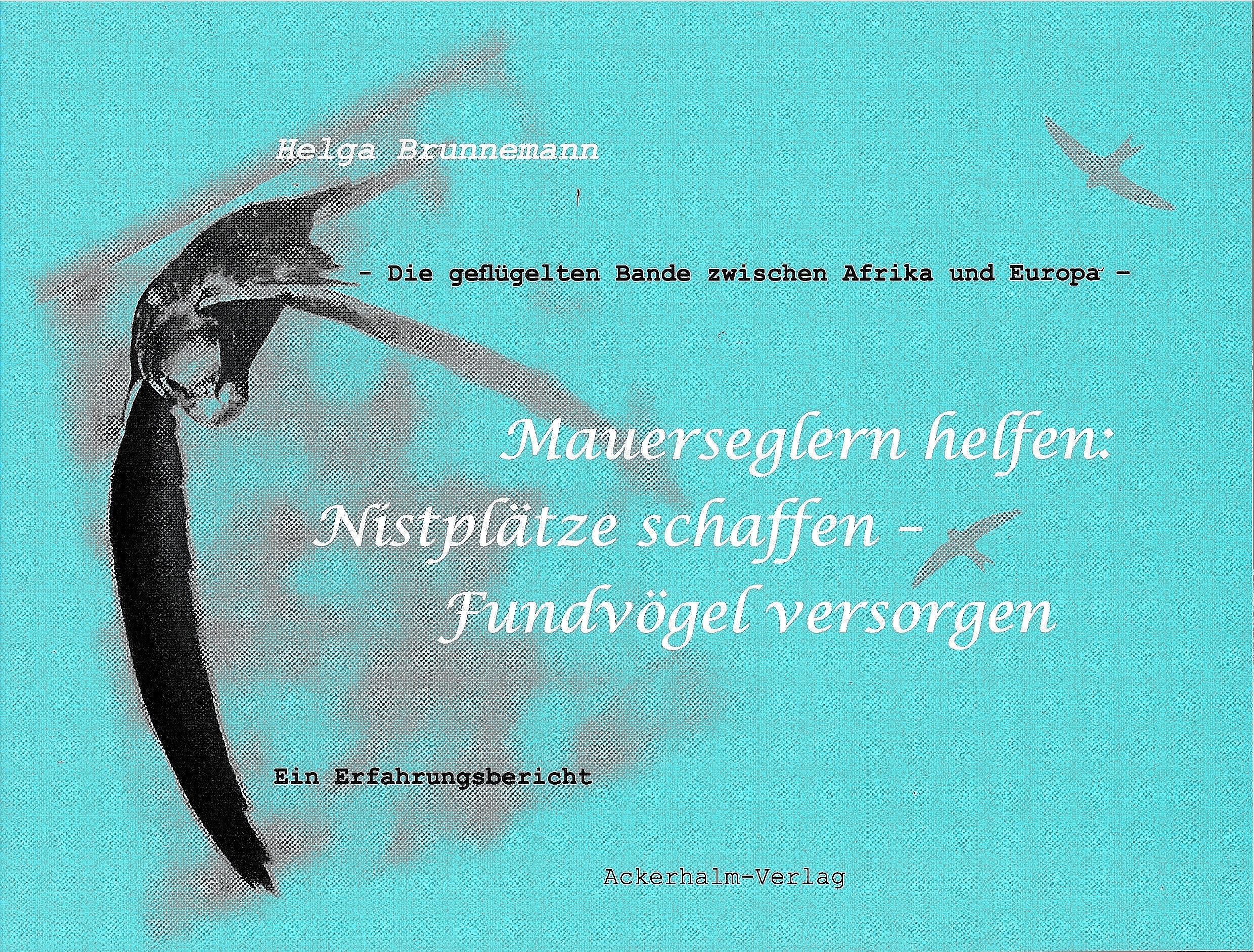 Mauerseglern helfen: Nistplätze schaffen - Fundvögel versorgen: Ein Erfahrungsbericht book