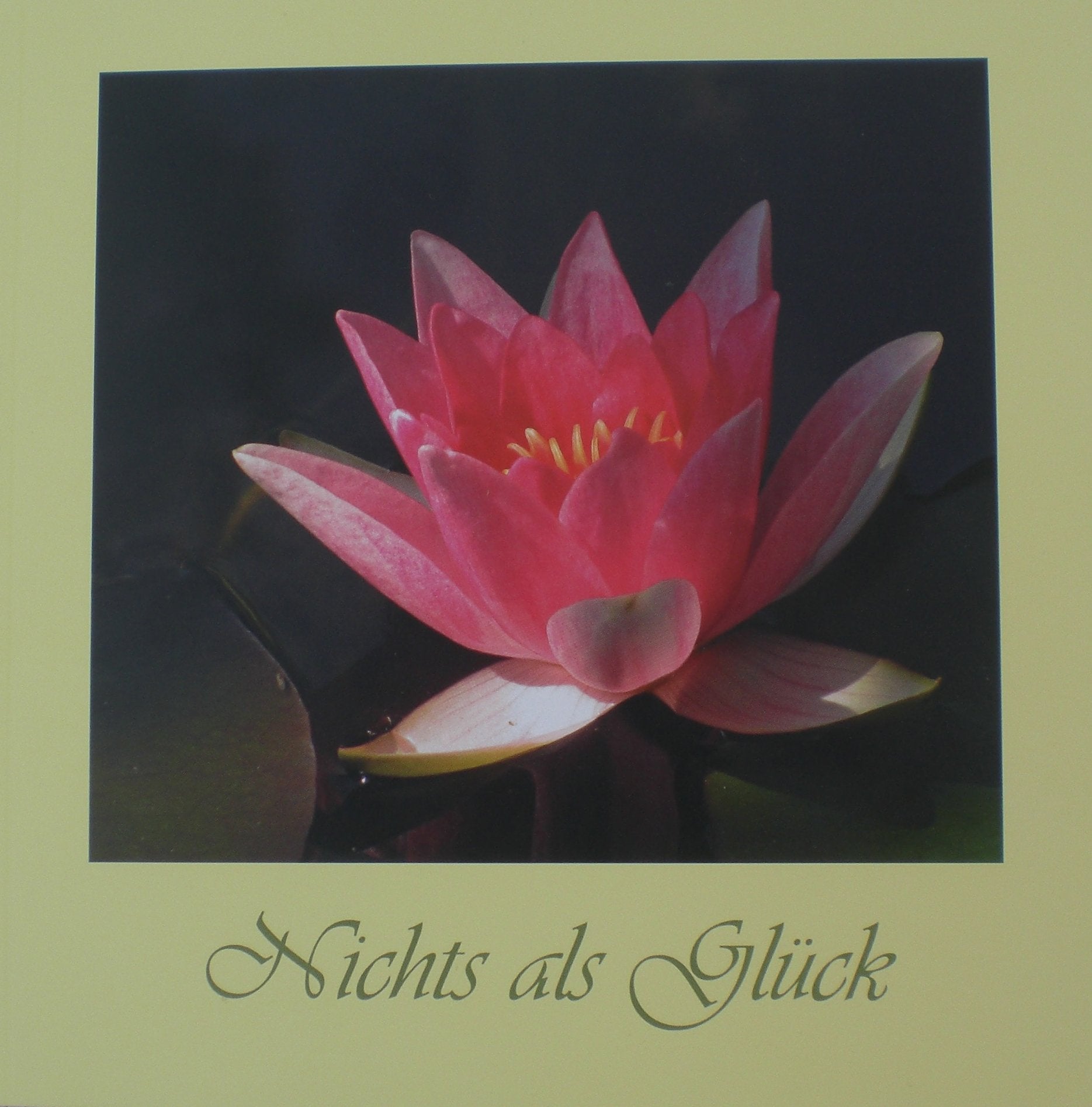 Nichts als Glück: Gedichte von Edith Hörauf und Bilder von Peter Hörauf Contemporary literature