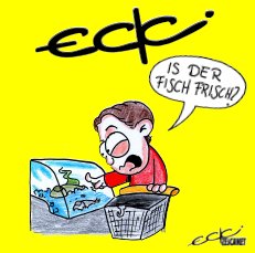 ECKI is der Fisch frisch book