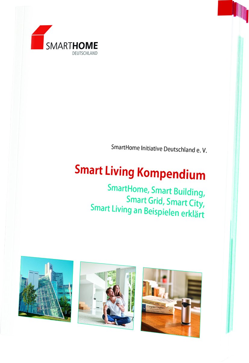 Smart Living Kompendium. Smart Home, Smart Building, Smarte Grid, Smart City. Smart Living an Beispielen erklärt Business, Finance & Career