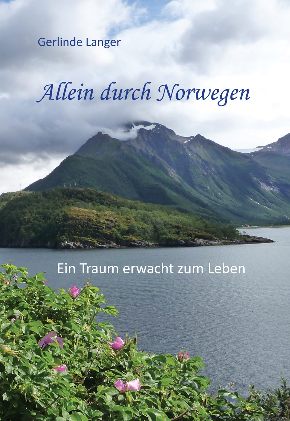 Allein durch Norwegen - Sechs Monate mit dem Wohnmobil unterwegs Books