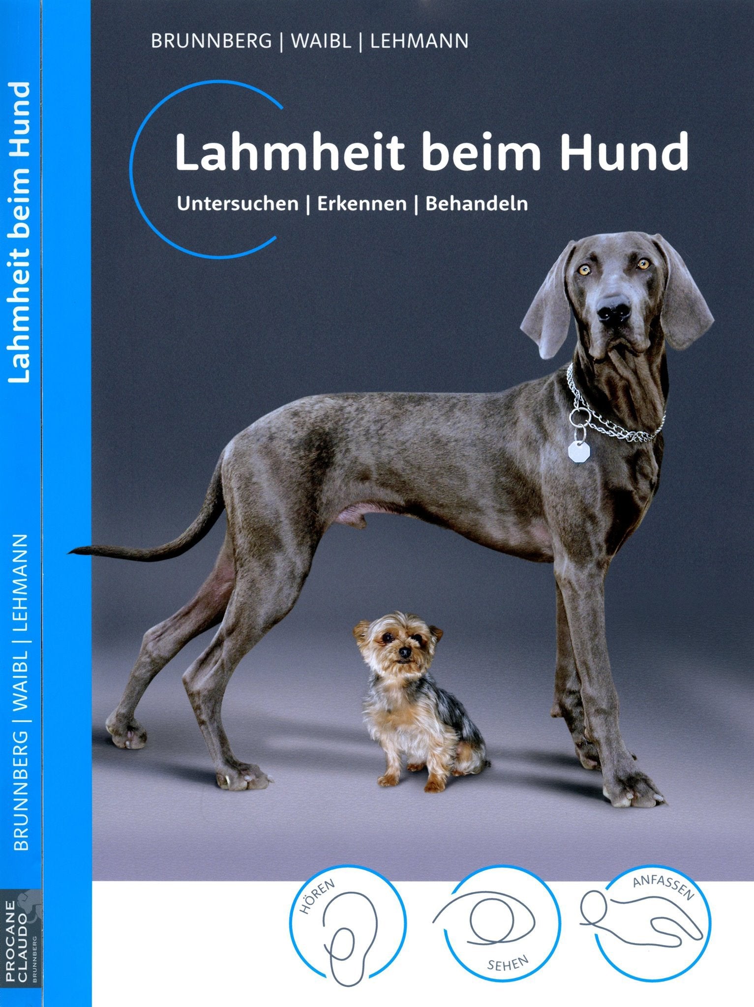 Lahmheit beim Hund: Untersuchen/ Erkennen/ Behandeln Pets