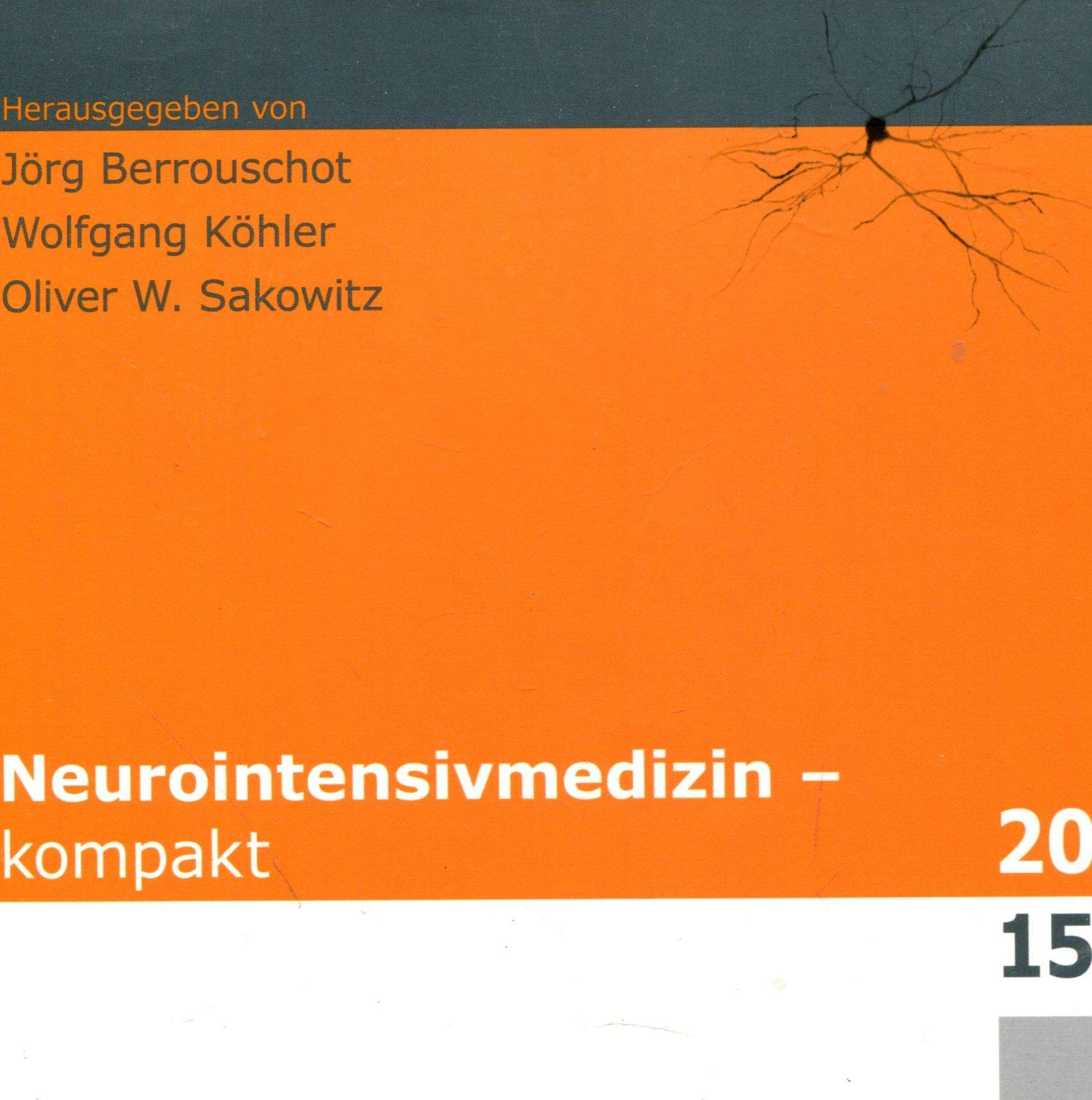 Neurointensivmedizin - kompakt 2015 Books