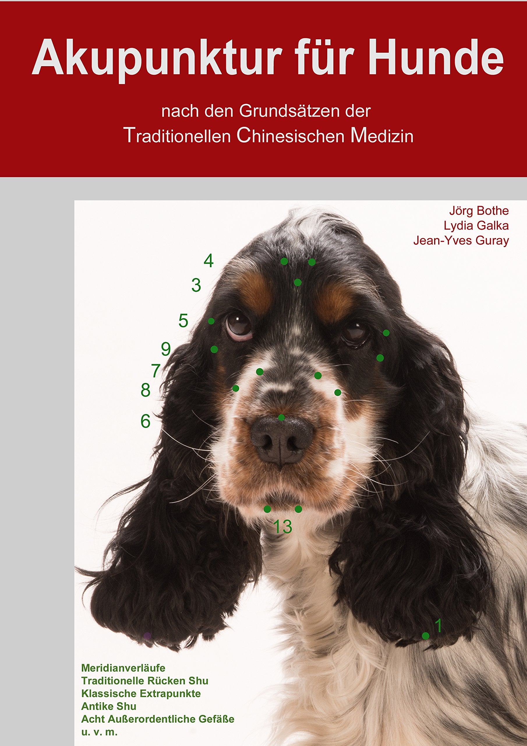 Akupunktur für Hunde nach den Grundsätzen der Traditionellen Chinesischen Medizin Books