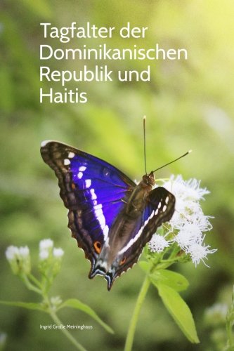 Tagfalter der Dominikanischen Republik und Haitis Mathematics