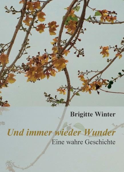 Und immer wieder Wunder: Eine wahre Geschichte Business & Technology