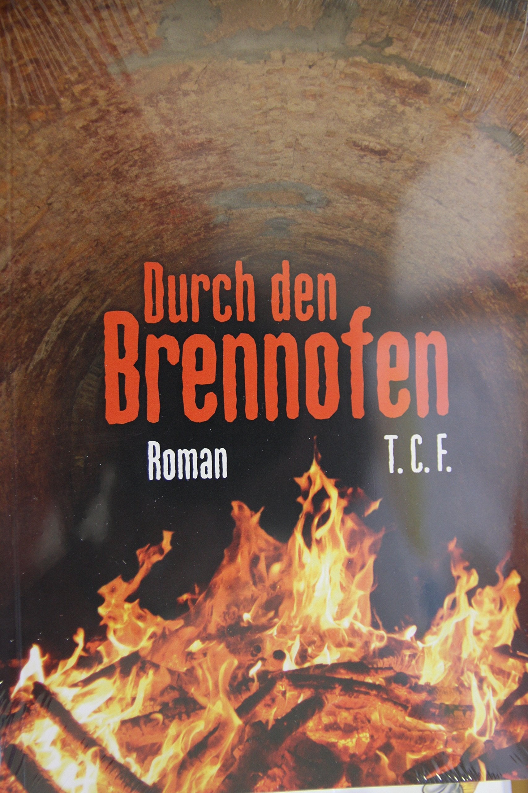 Durch den Brennofen.: Die Geschichte des Christian Schreiber. Band II. Roman Fiction